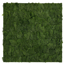 Jangal Modular Wall mospanel 52 x 52 cm - Dark Green